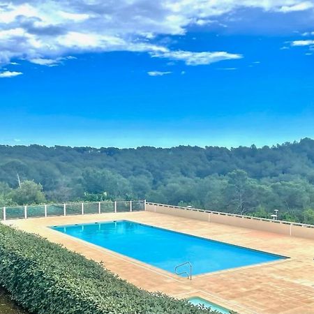 Grand Studio Avec Coin Nuit, Proche Mer Et Montagnes Roquebrune-sur-Argens Buitenkant foto